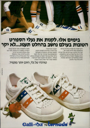העולם הזה - גליון 2219 - 12 במרץ 1980 - עמוד 71 | בימים אלו, לקגות את געלי הספורט הטובות בעולם נחשב בהחלט תענוג...לא יקר שלמה גליקשטיין אלוף ישראל בטניס היום לקנות נעל ספורט באיכות וברמה המבנה האורטופדי