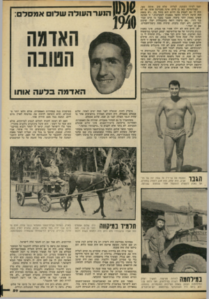 העולם הזה - גליון 2222 - 3 באפריל 1980 - עמוד 59 | יחסו לעירו השתנה, למרות שלא עזב אותה מאז. הפוליטיקה, כאז כן היום, אינה מעניינת אותו. אז לא היה לו זמן לעסוק בה והיום הוא בוחל בה .״יש בעסק הזה הרבה ליכלוך