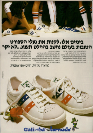 העולם הזה - גליון 2222 - 3 באפריל 1980 - עמוד 71 | גי מי ס אלו׳ לקנות את נעלי הספורט הטובות בעולם נחשב בהחלט תענוג...לא יקר שלמה גליקשטיין אלוף ישראל בטניס היום לקנות נעל ספורט באיכות וברמה המבנה האורטופדי