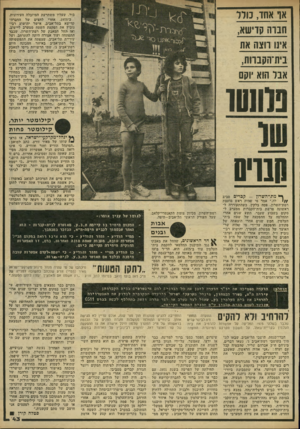 העולם הזה - גליון 2223 - 9 באפריל 1980 - עמוד 43 | או אחו, נודר חנו ה קוישא, אינו חצה את בית־חקנוות, אבל הוא יוקם בור, שעליו משתרעת המיזבלה העירונית. ב־ ,1975 אחרי לחצים של החברה- קדישא בתל־אביב, אישר יהושוע