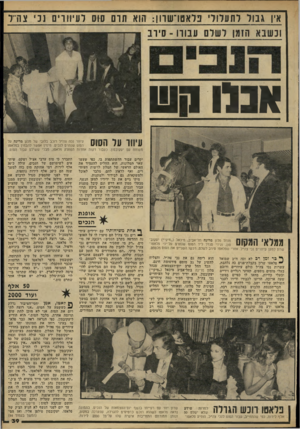 העולם הזה - גליון 2226 - 30 באפריל 1980 - עמוד 39 | אין גבול לתעלולי פלאטו־ שהן: הוא תום סוס לעיוורים נכי צדרל 3 1133 ש עיוור על הסוס עיוור נכה צה׳׳ל רוכב בלובי של מלון מרינה על הסוס שנתרם לנכים. מימין אפשר