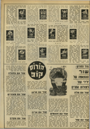 העולם הזה - גליון 2227 - 7 במאי 1980 - עמוד 10 | ידידים שבהם לא נזכרתם כבר זמן רב, שבוע של בילויים רבים, ונסיעות קצרות השפעות טובות של הכוכבים יבטיחו הימנעו מקניות נמהרות, ונהגו בזהירות יודיעו על קיומם ואף