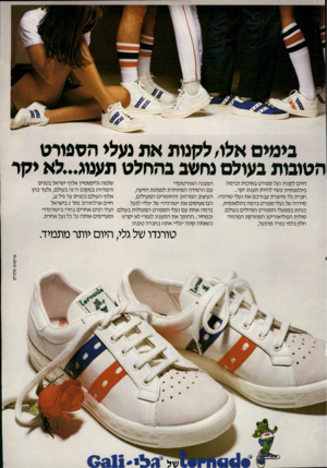 העולם הזה - גליון 2227 - 7 במאי 1980 - עמוד 71 | בימים אלו, לקנות את נעלי הספורט הטיבות בעולם נחשב בהחלט תענוג...לא יקר שלמה גליקשטיין אלוף ישראל בטניס המבנה האורטופדי היום לקנות נעל ספורט באיכות וברמה