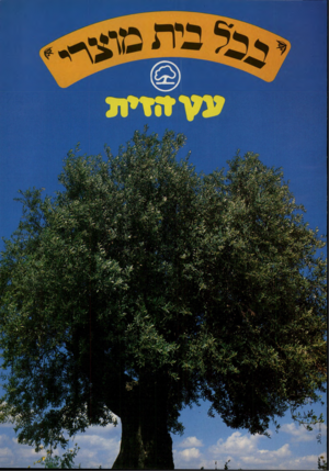 העולם הזה - גליון 2228 - 14 במאי 1980 - עמוד 16 | ע ע מי ת •50״ י י. י /ז ^-ז1יז׳ י,. > י 7