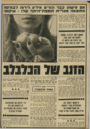 העולם הזה - גליון 2229 - 20 במאי 1980 - עמוד 13 | א מישהו בבר הזרים מיליון לירות ל בו רסה כ תו צאה מעליית תו סבת־ היו ק ר שלו -שיקום! דץ התייקרויות האחרונות לא השאירו ספק בכר י שהמדיניות האנטי־אינפלציונית של
