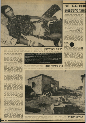 העולם הזה - גליון 2229 - 20 במאי 1980 - עמוד 65 | ונפצע באברי המין במחנה פליטים נטוש שלא עשיתי כלום ואני גם לא יודע כלום. הם ראו שזה לא הולך, אז הם לקחו את אבי, והמשיכו להרביץ. אבו אל־פהד הרביץ יותר מכולם. הוא