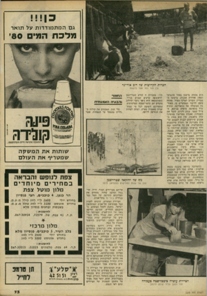 העולם הזה - גליון 2235 - 2 ביולי 1980 - עמוד 73 | גם המתמודדות על תואר מל כ ת המי 80׳ הפרות הקדושות שד דוב אור־נד אין תור כמו אצל פיקאסו הוא מהווה מישכן מאוד אינטימי וספוג אווירת אמנות. סיקומו ה־מצויין. הקרוב