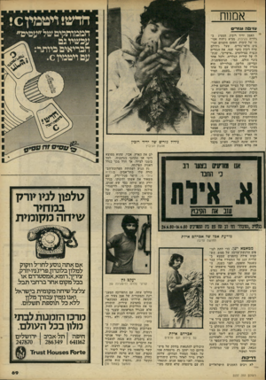 העולם הזה - גליון 2237 - 16 ביולי 1980 - עמוד 69 | אמנוח חדש! ויטמין ס עז־גו ה ו גז ר ם הממותקים של״עם יפ״ עכשיו גם הבריאים ביותר: עם ויטמין . 0 האמן ידיד רובין, המציג בגלריה הקיבוץ, מביא ניחוח אמיתי של קיבוץ.