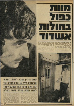 העולם הזה - גליון 2239 - 30 ביולי 1980 - עמוד 37 | בחודות אונודוד ף* שוטרים, שהוזעקו על־ידי בדואי י • צעיר ביום השישי האחרון, לחולות אשדוד, לא יכלו להסתיר את הזדעזעו תם. אחד ׳מהם הקיא. הם ניצבו מול שתי גופות,