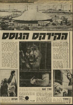 העולם הזה - גליון 2239 - 30 ביולי 1980 - עמוד 70 | קירקס. מאז הגיע לארץ, ביוני ,1975 לא פסקו צרות שונות לפקוד אותו. שני פילים מתו ללא סיבה ניראית לעין. שלושה סוסי פוני נפחו את ניש־מתם ביום אחד, כאשר הקירקס חנה