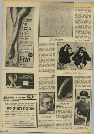 העולם הזה - גליון 2239 - 30 ביולי 1980 - עמוד 73 | ובידור, ואף בחום היום אין מזי עים בה כמו בשפלה. אלא שלא רק רוח יש בירושלים. גם חיי־רוח יש בה. כל אולמות האקדמיה בצלאל פונו מכני הציור. גם המוצגים המשמשים