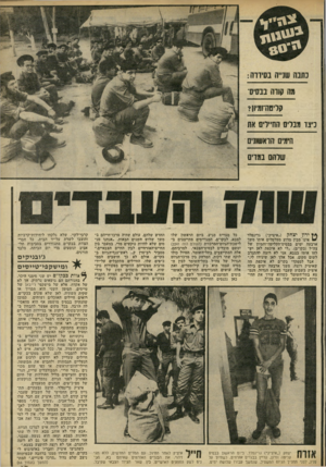 העולם הזה - גליון 2242 - 20 באוגוסט 1980 - עמוד 63 | 8ה סורח בבסיס־קלים וחוליוו? ניאו מבלים חח״ריס אס הימים הראשונים שלהם במרס גרינפלד (״איציק״) * ך ירון יצחק אינו׳ מ בין מדוע מטלטלים אותו משך ארבעה ימים