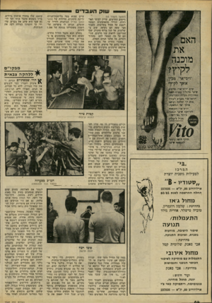 העולם הזה - גליון 2242 - 20 באוגוסט 1980 - עמוד 64 | שוק העבדים (המשך מעמוד )63 גייסים החדשים, עדיין לבושי האז רחית, הורדו מהאוטובוס ונצטוו לשבת על החול בשלשות. כעבור חצי שעה הם נקראו, שוב ב שלשות, אל תוך צריף