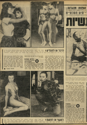 העולם הזה - גליון 2243 - 27 באוגוסט 1980 - עמוד 43 | אומות מנוגדות: הים הסכס״ם נשיות לרכל או להצדיע? פינצ׳י מור וניבה פון וייזל בבגדי־ים, ומירי זמיר ואורה אטיאס במראה הצבאי. על מה בדיוק הן רנים, גם לקניינים וגם