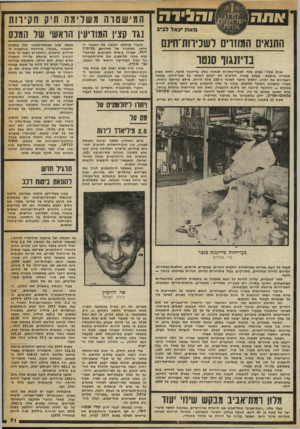 העולם הזה - גליון 2245 - 10 בספטמבר 1980 - עמוד 72 | מאת יגאל לביב התנאים המוזו־יס לשכירות־חי] בדיזנגוו שטר צוות שטיר מציע עתה לבעלי״עסקים לפתוח עסק בדיזנגוף סנטר, והוא מציע סובריה מושבת: במשך עשרה חודשים לא ישלם