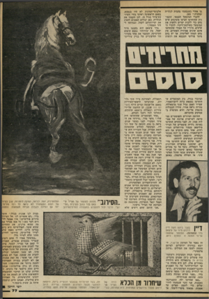 העולם הזה - גליון 2245 - 10 בספטמבר 1980 - עמוד 78 | בו אחרי כשנסעתי מהבית לגלריה ובחזרה,״ טען. לדברי המימשל הצבאי, התמונות שהוחרמו הביעו מוטיבים שיש בהם כדי ללבות יצרים ולהציג את המימשל כשילטון־דיכוי. לדברי