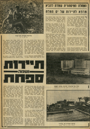 העולם הזה - גליון 2247 - 23 בספטמבר 1980 - עמוד 47 | המחרה המיסתודית עומדת להביא מרפא לתיירות של ים המלח ^ וברטה ברנדין היא צעירה ברזי לאית יפהפיה, ובת להורים עשירים. רוברטה אוהבת את ישראל, ויכולה להרשות לעצמה