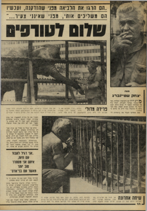 העולם הזה - גליון 2250 - 15 באוקטובר 1980 - עמוד 44 | ״הם הוגו את הלביאה מפני שהזדקנה, ועכשיו הם משליכי![ אותי, וגפונ׳ [11 אינני צעיר...״ 911117 0 1 7 0 מאת יצחקש טיינ ב רג דוע הרגו את הלביאה? שאלתי, נש• הגעתי