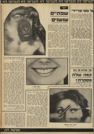 העולם הזה - גליון 2250 - 15 באוקטובר 1980 - עמוד 59 | ניגב 1136 לא לגברי! ל א לגברים לא לגברי! ל א לגברים י לא 4ל ננס* פו־יידי ׳לכלי עזר בעבודתם, והוא נכנס לרשימת סיפרי החובה באוניברסיטאות. ישנם בסט סלרים שהם זבל,