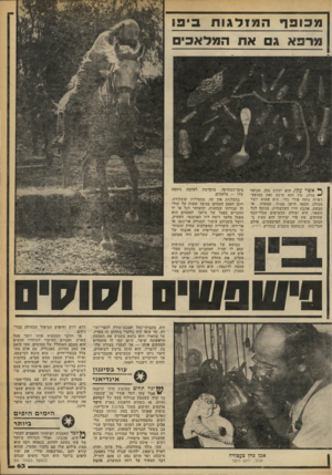העולם הזה - גליון 2250 - 15 באוקטובר 1980 - עמוד 63 | מ כו פףהפדד גו ת בי פו מרפא ג ארו המלא כי ^ אשר עקי, הוא יעקוב כהן, מכופף ״ מזלג, אין הוא עושה זאת במופע־ראווה נוסה אורי גלר. הוא פשוט יוצר ממזלג הכסף הישן