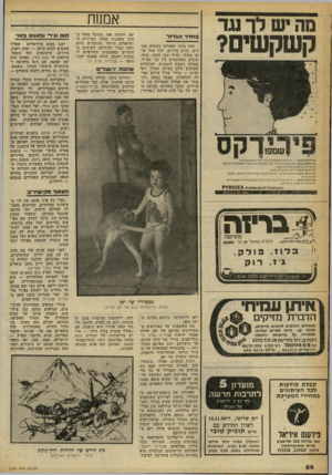 העולם הזה - גליון 2254 - 12 בנובמבר 1980 - עמוד 57 | מה ש לך עד קשקשים? אמנ 1ח חדר הגדוד חדר גדול, שאורכו כעשרה מטרים, גדוש ציירים. לכל אחד פינה משלו, ואילו הבן הקטן, מוטי, והכלב מסתובבים בין כני הציור. במרכז