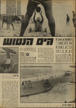 העולם הזה - גליון 2254 - 12 בנובמבר 1980 - עמוד 65 | בד י וק כש הוא נעים ביותו ליה שהאמת אוהבים אח הים / /י לא נעלמים כשמתחיל לטפטף קצת גשם,״ מסביר המציל בחוף גורדון, ישראל שוורץ (שחם) ,ממרומי הסוכה שלו, שממנה