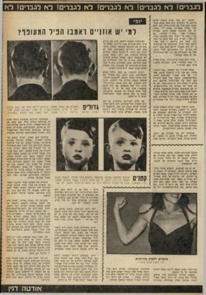 העולם הזה - גליון 2256 - 26 בנובמבר 1980 - עמוד 52 | לגברים ! לא לגברים ! לא לגברים! לא לגברים! לא לגברים ! לא הקיצר, יום אחד מגיע הבחור אלינו מלוהב עד השמיים. הוא מצא מקום בתל- אביב, שמגישים שם סטייק פילה כזה,