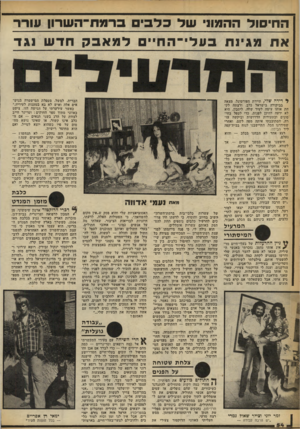 העולם הזה - גליון 2258 - 10 בדצמבר 1980 - עמוד 55 | ה חי סו ל ההמוו שדכל בי םברמת ־ ה ש רון עורר אחמ גי נתסולי ־ החייםלמאבקחדשנגד ^ דידה שדי, תיירת מפורטוגל, מצאה בביקורה בישראל כלב, ורצתה לקחת אותו עימד לעיר