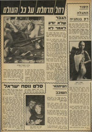 העולם הזה - גליון 2259 - 17 בדצמבר 1980 - עמוד 45 | הסוד התגלה רלו בנתניה .לקחת פרח כזה׳ ולסגור אותו שבוע שלם בין ארבעת הכתלים של חדר אחד, ואפילו זה החדר חיפה ביותר בבית- המלון המפואר ביותר, זה עוול משווע. הביטו