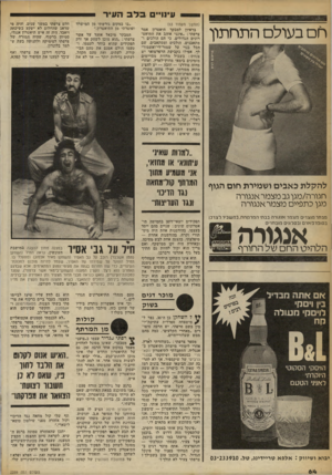 העולם הזה - גליון 2259 - 17 בדצמבר 1980 - עמוד 66 | עיוו״ בלבה עי ר חם בעולם התחתון (המשך מעמוד )63 בראיון למבקר תיאטרון אמר צרפתי :״אינני אוהב את התיאט רונים הגדולים, כי הם הולכים ו מתאבנים, הולכים ומסתאבים. שם