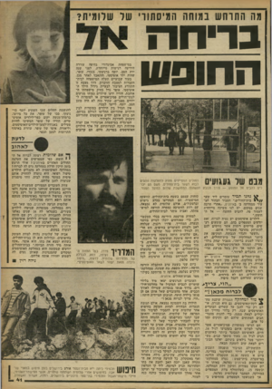 העולם הזה - גליון 2261 - 31 בדצמבר 1980 - עמוד 41 | מה התרחש במוחה המיסתווי שר שלומית? ב רי ח ה ה חו סווו במישפחת אביגדורי בחיפה עוררה הידיעה רגישות מייוחדת. לפני שנה ירה הסב, יוסף ברניצקי, בנכדו, עופר, שהיה ילד