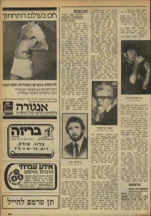 העולם הזה - גליון 2261 - 31 בדצמבר 1980 - עמוד 61 | הופעה והעניין לא נגמר. ״קשה מאוד להתארגן על סכו* מיט עצומים כאלה.״ יונתן לא ויתר. הוא החליט לתרום מכיסו 60 אחוזים מהסכום שנדרש. את הייתר אירגן בעזרת אריק קטן׳
