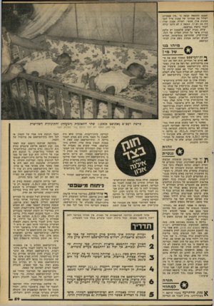 העולם הזה - גליון 2263 - 14 בינואר 1981 - עמוד 59 | ואמנם התוצאה קבעה כי ״אין אפשרות לשלול את אבהותו של אמנון אייל לגבי התינוק אורן שמש״ .לשולה, אמנון ואורן היה סוג דם ס. תוצאה זו לא היתה יכולה לעזור כראיה