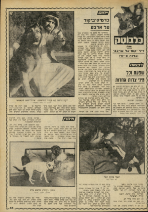 העולם הזה - גליון 2263 - 14 בינואר 1981 - עמוד 64 | כרטיס־ביקור על ארבע בלבוטק מאת ד״ר • קותיאלשרעבי ועדנה 3־י 1ר ו ( שנעת ו נו ! מיני צוות אחוות זה לא נורא אם מתקרבים למישהו עם שפעת, או עם מין וירוס, שקוראים לו
