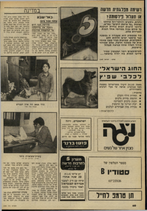 העולם הזה - גליון 2264 - 21 בינואר 1981 - עמוד 61 | בח ינה או תעלול פירסומת? באו־־שבע צ חנ המכל ביגר. מדריכת מעון היום רוחמת את מי 7חמתה ש 7המישפחה שהוזנחה נהגים, נו ס עי ם והולכי־רגל שחלפו בצומת ״על פרשת דרכים״