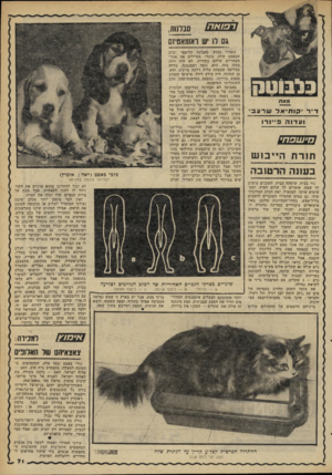 העולם הזה - גליון 2264 - 21 בינואר 1981 - עמוד 72 | 5 2 2 3 7סגדנוח, 0 01 יש ואומאסיזם מאת ד״ר ותיאל שרעב ועדנה פיינרו תורת הייבוש בעונה הרטובה גור בבית, שימחה בבית. השכנים עושים לך שמח. אומרים לך שלום חמוץ, ומא