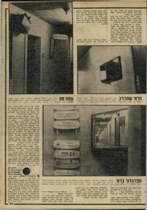 העולם הזה - גליון 2265 - 28 בינואר 1981 - עמוד 33 | צלבי־קרם קטנים על הקיר. מזלו של קירן היה שחבש כובע פרווה, שבלם במידת־מה את המכה. במשך שעות אחדות היה צבי מוטל מחוסר־הכרה. אחרי השעה 1.00 בלילה הוא התעורר לכמה