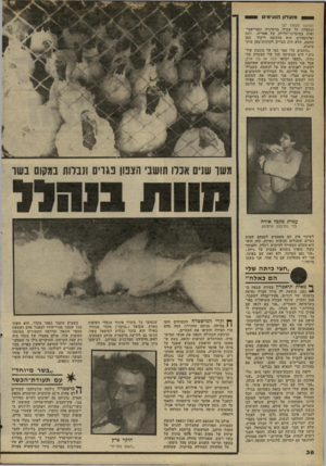 העולם הזה - גליון 2265 - 28 בינואר 1981 - עמוד 38 | ן מו ע דון הז עי מי ם 1 (המשך מעמוד )37 ומספרת על עברה כרקדנית וסטריפטי- זאית במועדוני־הלילה של פאריס, וינה ופרנקפורט, היא מדגימה ריקוד בטן מהמם, שלא היה מבייש