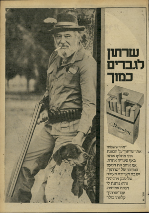 העולם הזה - גליון 2266 - 4 בפברואר 1981 - עמוד 7 | שרש! לגברים כמ 1ך מ 1ק ד 55 ״מאז ששמתי : את״שרתוך על הכוונת איני מחליף אותה . באף סיגריה אחרת. אני אוהב את הטעם 1 המיוחד של ״שרתוך1 . יש בה תערובת מעולה *י׳ של