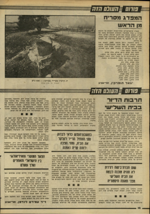העולם הזה - גליון 2267 - 11 בפברואר 1981 - עמוד 10 | •חשנס המברג מסריח מן הראש חוח מעניין שראש״צורים ואלון־שבות יושבים על חורבת זכריה — אחד משלושה מקומות הקשורים בשמו של זכריה, הנביא שניבא את חורבן ישראל, ועל־כן