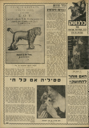 העולם הזה - גליון 2268 - 18 בפברואר 1981 - עמוד 59 | בבורסת היהלומים מאת ד״ר קוחיאל שרעב * ועדנה פיינרו ילד מנשק חכר נשיקות מתוקות מיין האם מותר ל ה תנ ש ק? האם שאלו פעם בני־אדם את עצמם במד. מחלות הם מעבירים מן