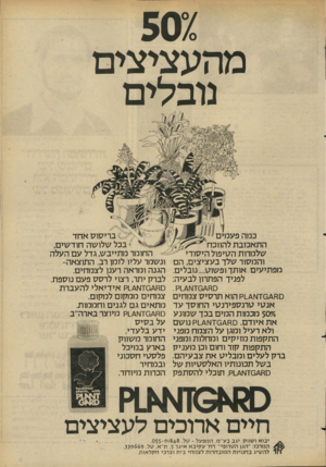 העולם הזה - גליון 2270 - 4 במרץ 1981 - עמוד 7 | מהעציציבו נובלים כמה פעמים התאכזבת להווכח שלמרות הסיפול היסודי והמסור שלד בעציצים, הם מפתיעים אותך ופשוט ...נובלים. לפניך הפתרון לבעיה: ם ח* 0דא\1/ק . 0 * 80