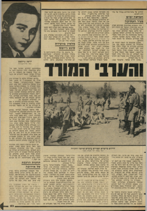 העולם הזה - גליון 2271 - 11 במרץ 1981 - עמוד 53 | יחידות של בלתי-סדירים בגודל של גדודים וחטיבה. כוח החברותי התרכז מסביב ליחידה של עבד אל־חלים אל־ג׳ולאני* ,וביחד עם אנשיו היה בטל לידם בשישים. שטוקמן :״אל״נובאני