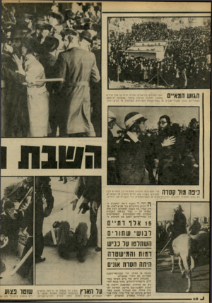 העולם הזה - גליון 2272 - 18 במרץ 1981 - עמוד 41 | הגוש והמאיים ראשי החרדים בירושלים הצליחו לרכז 15 אלף חרדים בהפגנה הדתית הגדולה ביותר שנערכה אי־פעם. מבעוד־יום הוכנו מצבורי־אבנים על גגות־הבתים והצריפיס השולטים