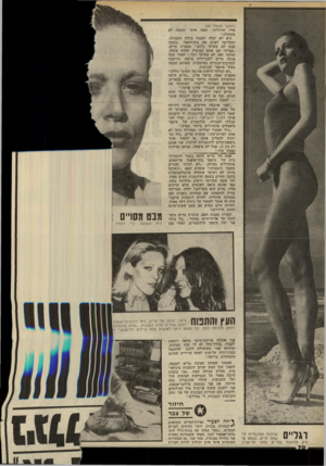 העולם הזה - גליון 2272 - 18 במרץ 1981 - עמוד 72 | (המשך מעמוד )69 אליו הורגלתי, הפכו אותי תופעד. לא מקובלת.״ היא לא יכלה לעמוד בלחץ החברתי, והחליטה לעזוב את בית־הספר .״במשך שנה לא עשיתי כלום,״ מספרת מרים,