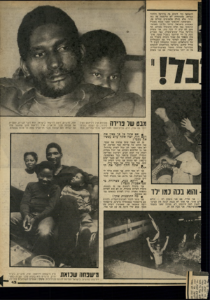 העולם הזה - גליון 2274 - 1 באפריל 1981 - עמוד 45 | לישראל כדי לשחק פה כדורסל ולחזור הביתה, מההתחלה לא הרגשתי פה כמו תייר, אלא כחלק מהאנשים שגרים פה. כשניצחנו, הרגשתי שאני מנצח בשביל האנשים בישראל, הייתי כל־כך