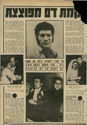 העולם הזה - גליון 2274 - 1 באפריל 1981 - עמוד 69 | חתדס ק הצמיד את חומר״הנפץ למכונית ורבן. חסן המתין לו בפינה. למחרת שמעו השניים כי באותו בוקר היה זה דווקא סינה שהתניע את המכונית, ושאי- בד בהתפוצצות את שתי