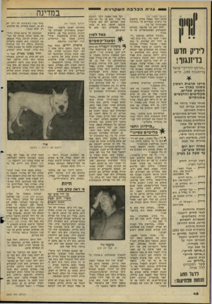 העולם הזה - גליון 2275 - 8 באפריל 1981 - עמוד 48 | עז־תהבלבההשקרנית ליריק חדש בדיזנגוף! ״ מרתף לי רי ק ״ פועל בדיזנגוף ,190ת׳׳ א מרכז תרבות ראשון מסוגו בארץ — המציע ספרים, תקליטים והדפסים אמנותיים מבחר עשיר