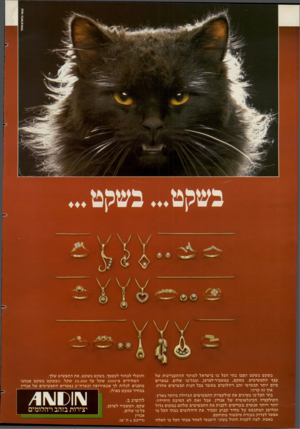 העולם הזה - גליון 2275 - 8 באפריל 1981 - עמוד 74 | בשקט בשקט הפכו בתי הכל בו בישראל למוקד ההתעניינות של ענף התכשיטים. בשקם, במשביר־לצרכן, ובכל־בו שלום, נמכרים כיום יותר תכשיטי זהב ויהלומים מאשר בכל חנות תכשיטים