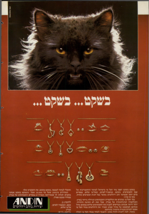העולם הזה - גליון 2276 - 15 באפריל 1981 - עמוד 80 | בשקט בשקט הפכו בתי הכל בו בישראל למוקד ההתעניינות של ענף התכשיטים. בשקם, במשביר־לצרכן, ובכל־בו שלום, נמכרים כיום יותר תכשיטי זהב ויהלומים מאשר בכל חנות תכשיטים